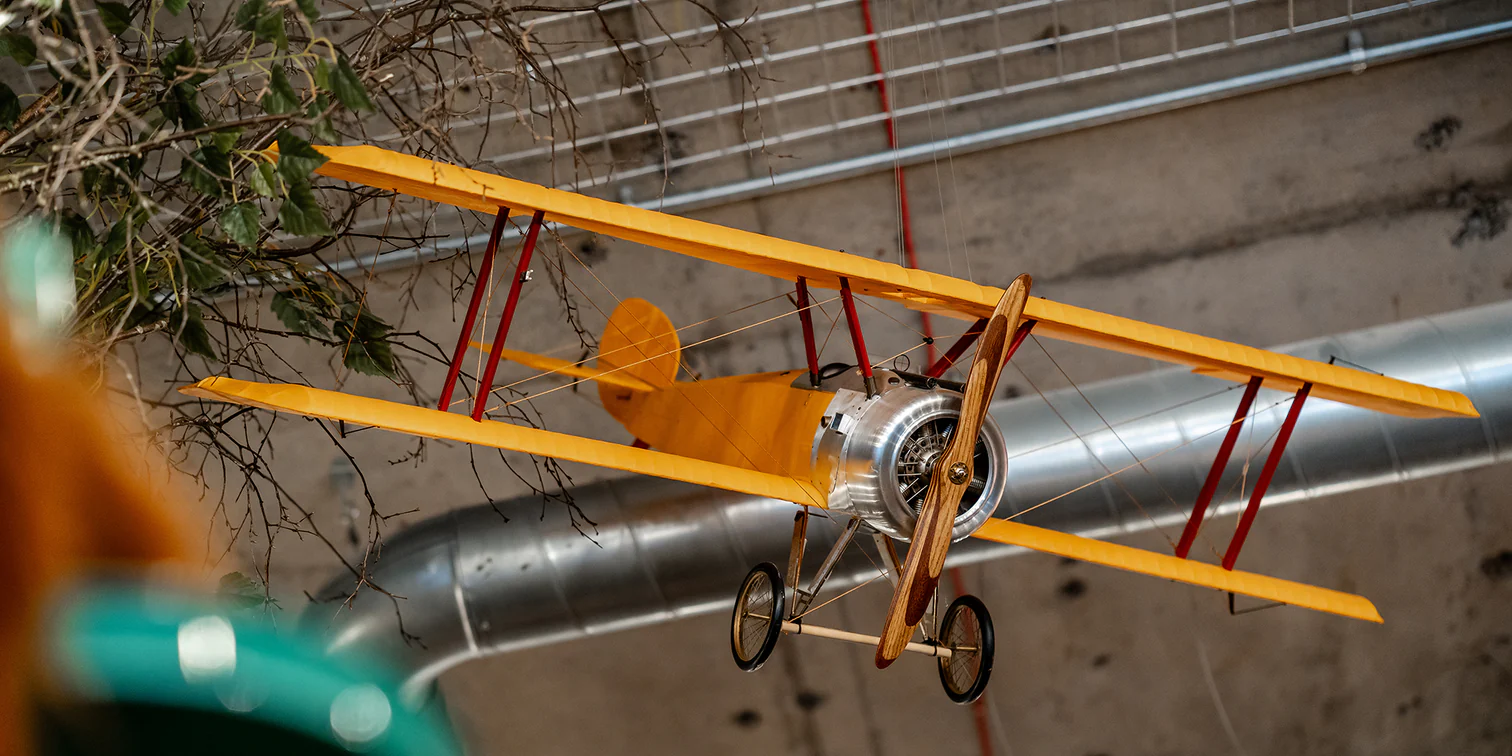 Welcome to Our Store